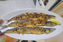 百庫新鮮秋刀魚 超大規(guī)格新鮮海捕獨立包裝海魚日料燒烤食材海鮮魚類 【特大】秋刀魚500g*2袋（凈重） 曬單實拍圖