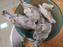 梭子蟹鮮活特大野生舟山大螃蟹海鮮新鮮冷凍海蟹水產(chǎn)飛蟹白蟹順豐 7-9兩/只 【凈重5斤特大梭子蟹】 曬單實(shí)拍圖