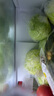 綠食者 球生菜10斤 漢堡用西生菜圓生菜西餐沙拉色拉食材 健康輕食蔬菜 10斤 曬單實(shí)拍圖