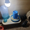 華畜小雞小鴨飼料雛雞雛鴨鳥蘆丁雞通用飼料鵪鶉雞食魚餌小鴨鵝飼料 1袋【高蛋白含量】蘆丁雞小雞飼料20斤 曬單實拍圖