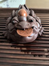 尊壺紫砂茶寵招財金蟾蜍紫砂鴻運當(dāng)頭手工擺件精品可養(yǎng) 鴻運當(dāng)頭 曬單實拍圖