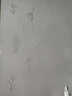 何佳功艾森堡壁畫(huà)師佳佳款墻面浮雕畫(huà)壁畫(huà)膩?zhàn)臃郾诋?huà)材料礦物沙料細(xì)料 粉狀細(xì)料20斤【藝術(shù)大師】 浮雕料 曬單實(shí)拍圖