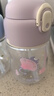 膳魔師（THERMOS）兒童水杯吸管杯帶杯套暢吸便攜學(xué)生水杯幼兒園水杯上學(xué)清透杯BBST 曬單實(shí)拍圖