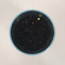 IAM City Farmer含羞草迷你盆栽 兒童diy種植小盆栽套裝植物觀察日記小禮物10026 曬單實拍圖