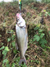 哈斯達(dá)（HISTAR）FB全金屬紡車輪魚輪無間隙海竿遠(yuǎn)投海釣10000型防海水魚線輪漁輪 防海水全金屬 【防海水全金屬斜槽】8000型 曬單實(shí)拍圖