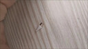 米聆會(huì)apple pencil筆尖專用裝替換筆頭蘋果1代2代適用于ipad pro筆芯阻尼防滑耐磨備用手寫電容筆筆頭 【一支裝】蘋果apple pencil筆尖 曬單實(shí)拍圖