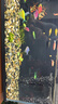EMCL古比魚(yú)模塊適配小米智能魚(yú)缸物理生化過(guò)濾雙水泵模塊水泵UV燈濾棉 （4件套升級一） 曬單實(shí)拍圖