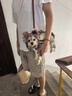 WAKYTU狗狗橫背帶狗包外出便攜包小中大型犬背狗神器寵物單肩斜挎包棕XS 曬單實(shí)拍圖