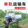 山地果園單軌運(yùn)輸車汽油大馬力自走式運(yùn)輸車農(nóng)用爬坡軌道運(yùn)輸機(jī) 單軌運(yùn)輸車定制專拍 RT-200 曬單實(shí)拍圖