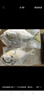 翔泰 海南金鯧魚(yú)凈重900g 2條裝  魚(yú)類(lèi)生鮮 燒烤 火鍋食材 海鮮水產(chǎn) 曬單實(shí)拍圖