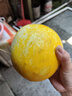 甘肅民勤沙漠蜜瓜新鮮采摘產(chǎn)地發(fā)貨 小果（單果≥500g）2斤凈重800g 曬單實拍圖