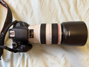 奧林巴斯 賓得 富士 佳能 尼康 三星 適馬 松下 索尼 騰龍 唯卓仕 永諾 二手相機鏡頭 佳能(Canon) 曬單實(shí)拍圖