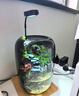 桌面創(chuàng)意微景觀綠植diy擺件禮物客廳辦公室夜燈苔蘚盆栽植物盆景 山水間（養(yǎng)魚款） 曬單實拍圖