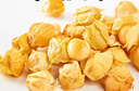 良知農(nóng)哥【順豐】東北新鮮洋菇娘果 新鮮黃姑娘果燈籠果菇?jīng)龉麕?5斤 曬單實(shí)拍圖