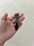 皇家密碼簡約蝴蝶結(jié)水鉆鴨嘴夾黑色絲絨劉海夾前額碎發(fā)夾側(cè)邊夾發(fā)卡發(fā)飾 曬單實(shí)拍圖