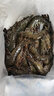 海蘊極鮮【活鮮】鮮活黑虎蝦 新鮮大個(gè)虎蝦活蝦燒烤食材 中號 500g(凈重)  （12-17只） 曬單實(shí)拍圖