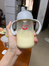 愛得利（evorie） 嬰兒鴨嘴奶瓶6個月以上 寬口徑帶手柄帶重力球PPSU奶瓶 240ml灰 曬單實拍圖