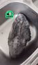 語森憶海參斑冰島進(jìn)口北極冰鮮去內(nèi)臟海參石斑魚海鮮海參魚深海魚無污染 海參斑1.5kg/兩條 曬單實(shí)拍圖
