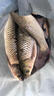 粉色碳素線50米軟碳纖維魚線 2025粉色碳素線50米 0.6號 曬單實拍圖