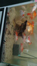 YEE錦鯉金魚(yú)飼料魚(yú)食通用觀賞魚(yú)上浮不渾水小顆粒餌料專用小型魚(yú)魚(yú)糧 到手320g≈1000ML【1.5mm上浮型】 曬單實(shí)拍圖
