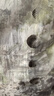 播商場(chǎng)同款Houzichao聯(lián)名波點(diǎn)半身裙女長(cháng)裙BDR3BD1817 W24淺云花 M 曬單實(shí)拍圖