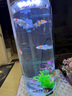 招財如意精品錦鯉魚高端觀賞魚冷水魚好養(yǎng)耐活魚純種大魚風(fēng)水紅白大正金魚 精品三色錦鯉 10-13cm9條(測量發(fā)貨) 曬單實拍圖