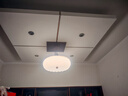 雷士（NVC）餐廳吊燈臥室燈高級感吊燈舒適光書房LED燈具 Ra95高顯48W 3色光 花瓣燈罩 曬單實拍圖