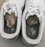 耐克（NIKE）板鞋男鞋 春季新款A(yù)IR FORCE 1空軍一號(hào)運(yùn)動(dòng)鞋低幫輕便休閑鞋 FJ4146-100 42 曬單實(shí)拍圖