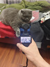 大疆（DJI）Osmo Pocket 3口袋相機 手持vlog 防抖云臺 直播便攜攝像機 標準套裝+適配續航手柄（熱銷(xiāo)） 含雷克沙128G高速卡套餐 曬單實(shí)拍圖