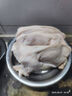 新鮮生豬耳朵耳尖現(xiàn)殺農(nóng)家散養(yǎng)冷凍土豬商用豬耳片肉帶鹵菜批發(fā) 新鮮豬耳朵 5只【每只3-4兩】 曬單實拍圖