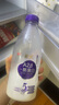 光明 致優(yōu) A2β鮮奶 800ml 家庭裝 巴氏殺菌 鮮牛奶定期購 曬單實拍圖
