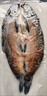 湖北特產(chǎn)整條青魚 草魚臘魚風(fēng)干魚農(nóng)家陽干咸魚腌魚臘貨年貨送禮 整條草魚--風(fēng)干后2斤 曬單實(shí)拍圖
