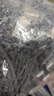 潔斯汀 自攻螺絲釘高強(qiáng)度干壁釘木螺絲墻板釘龍骨自攻絲十字平頭自攻釘 高強(qiáng)度M3.5*25（100個(gè)） 曬單實(shí)拍圖