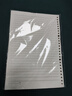 齊心（COMIX）B5/60張活頁本替芯26孔 筆記本子活頁紙考研復(fù)習(xí)作業(yè)本單本學(xué)生文具用品 橫線ECNB560 曬單實(shí)拍圖