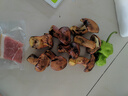 妙普樂見手青蘑菇新鮮【順豐空運次日達】云南野生牛肝菌網紅紫蔥肝菌菇 【嘗鮮】黃見手青 250g（首單優(yōu)惠半斤裝） 曬單實拍圖