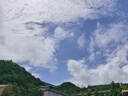 京東洗衣服務(wù)衣鞋任洗6件上門取送 干洗服務(wù)水洗去漬熨燙殺菌 曬單實拍圖