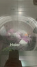 海爾（Haier）波輪洗衣機(jī)全自動(dòng)10KG直驅(qū)變頻神童/云溪雙動(dòng)力系列10公斤HP電離除菌螨預(yù)約桶自潔童鎖以舊換新 自編程+AI智洗+黑科技漩瀑洗高達(dá)1.1洗凈比 曬單實(shí)拍圖