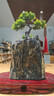 正宗大號泰山石敢當(dāng)天然原石補(bǔ)角景觀賞石擺件靠山石轉(zhuǎn)運(yùn)石頭擺件 原石36到41厘米隨機(jī)發(fā)【含坐】 曬單實(shí)拍圖