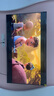 東芝電視小芝士75Z600QF PRO 75英寸 音畫雙芯Mini LED 火箭炮SOUND 300Hz黑瀑屏 4K 家電國家補貼 曬單實拍圖