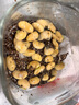 QCY Crossky C30S 耳夾耳機 不入耳開(kāi)放式無(wú)線(xiàn)藍牙耳機 舒適穩固佩戴長(cháng)續航 皓月白 曬單實(shí)拍圖
