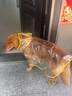麥?zhǔn)嫣毓饭酚暌露放褡o(hù)肚泰迪專用小中型犬柴犬小狗透明雨披防水寵物衣服 【有效防雨】白色包邊雨衣 S(體重3-7斤 背長21-27CM) 曬單實拍圖