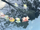 語森憶黃油小熊盲盒奶呼呼小熊卡通玩偶可愛車載桌面擺件女禮物 整套六個(gè)不重復(fù)黃油小熊1代大套盒裝 曬單實(shí)拍圖