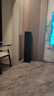 丹拿（DYNAUDIO）新意境系列 New Emit 50 HiFi無源落地音響發(fā)燒音箱2.0胡桃木 曬單實拍圖