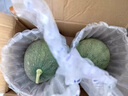 果益壽正宗哈密瓜新鮮水果疆西州蜜瓜25號生鮮瓜海南一整箱甜瓜包郵 5斤 精選【單果1.6斤起】凈4.5斤 曬單實拍圖