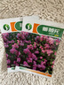 混色薔薇花種子四季開(kāi)花爬藤攀援花卉植物花海景觀花簡(jiǎn)單易種好養(yǎng) 10個(gè)品種顏色混裝200粒 曬單實(shí)拍圖