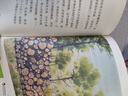 大作家寫給孩子們：種樹的人 積極向上 兒童文學佳作 浪花朵朵  曬單實拍圖