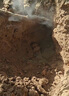 熏哈哈 鼢鼠 地鼠  哈老 土拔鼠 瞎瞎 地羊 特效粉劑 戶外高效 一公斤 百分85含量 曬單實拍圖
