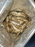 零拾令烘烤香酥小黃魚500g黃魚酥干休閑零食小魚干海魚干酥脆不油膩海味 原味黃魚酥500g【香酥不油膩】 曬單實(shí)拍圖