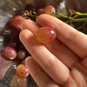 京鮮生云南克倫森無籽紅提 凈重4斤裝葡萄提子生鮮水果源頭直發(fā) 曬單實拍圖