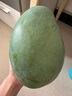 京鮮生 好大一顆凱特芒 1粒2斤巨無(wú)霸 生鮮水果 源頭直發(fā)【搜生鮮館】 曬單實(shí)拍圖
